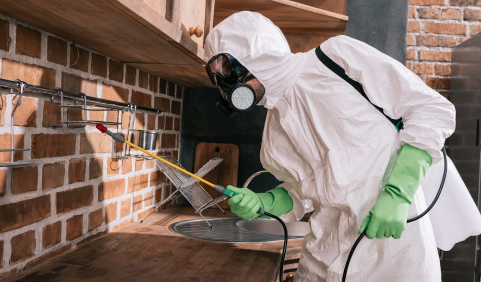 Perks Of Having Professional Pest Control Services