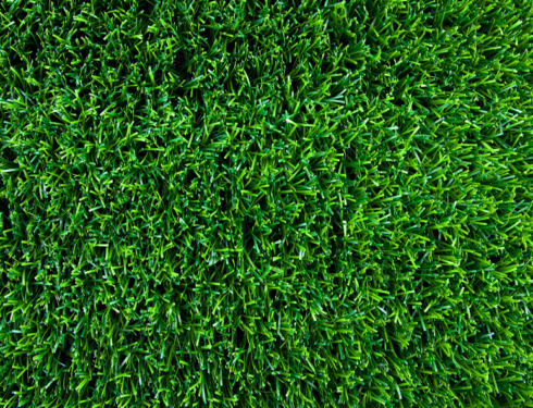Astroturf from Auckland