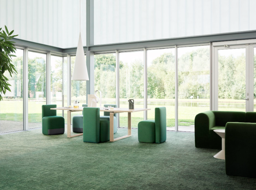 Carpet companies in Auckland