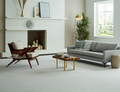 Carpet companies in Auckland