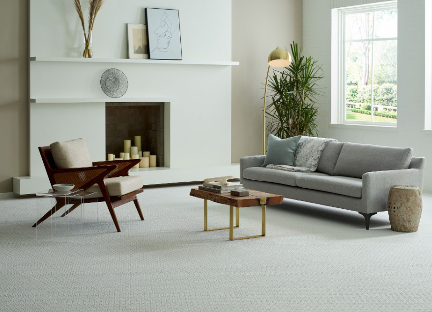 Explore the Services offered by Carpet Companies in Auckland