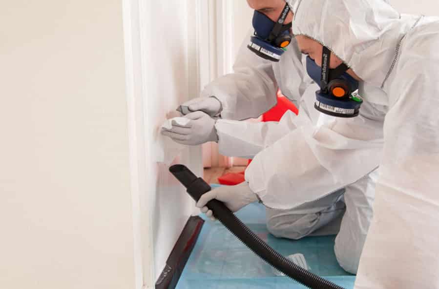 The Importance of Professional Asbestos Testing in Wellington