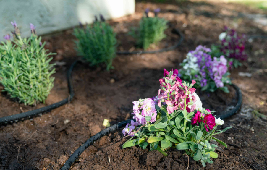 Tips For Building system of A Garden Irrigation In Auckland: