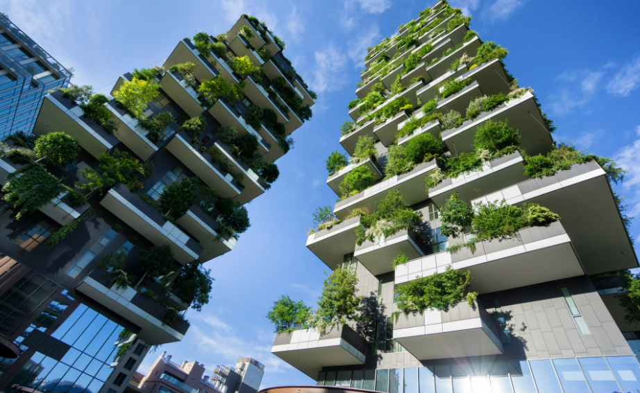 Sustainability and New Builds in North Shore: Why Eco-Friendly Design is the Future