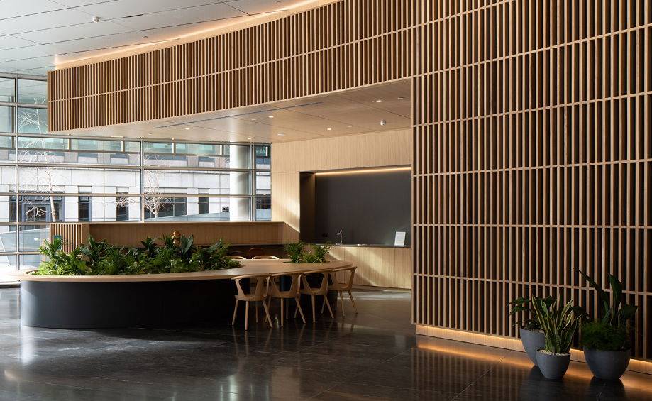 new builds in North Shore 