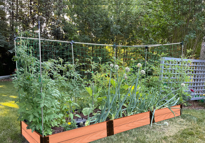 raised garden