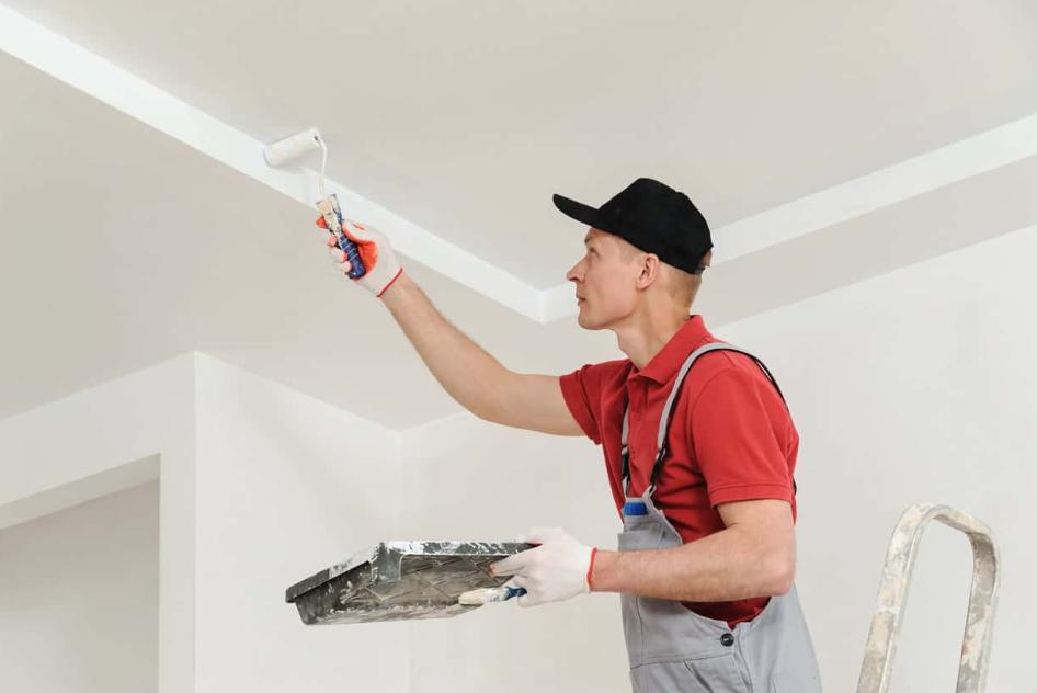 A Guide to House Painting in Nelson