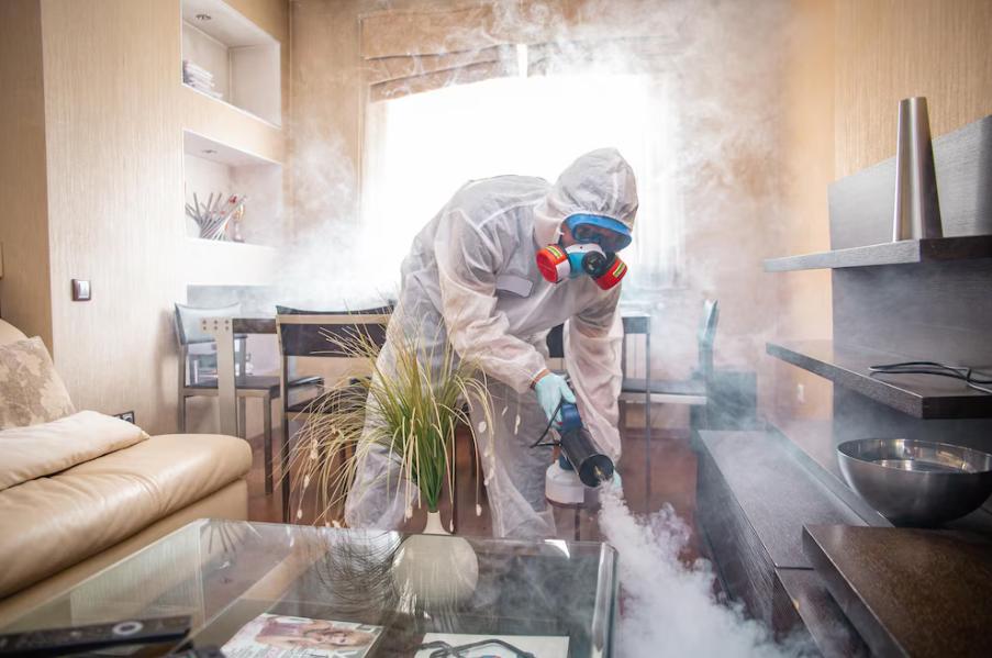Professional Odor Removal Services in Ottawa: What Homeowners Must Know?